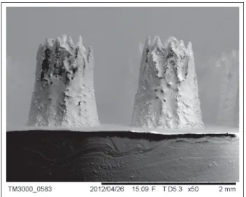 Figure 2.4 Micro structure par Rana et al. (2016)