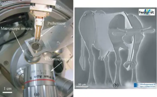 Fig. 1.17 – (a) La station PRONOMIA et son système de vision utilisant un microscope inversé [HG08], (b) microvache assemblée, de 500 µm de la tête à la queue, pesant 830 nanogrammes.