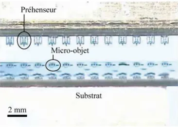 Fig. 1.26 – Micro-assemblage parallèle déterministe utilisant 12 préhenseurs à l’Institut ARRI au Texas [Pop07].