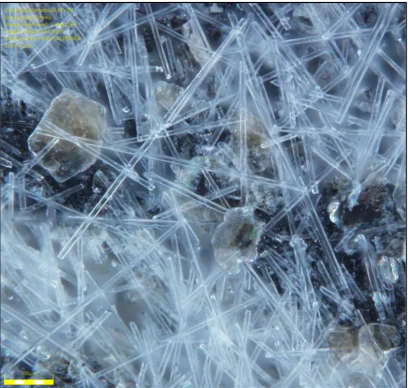 Figure 4.1 Morphology of the glass fibers and mica platelets   used to form the composites of our study (500x) 