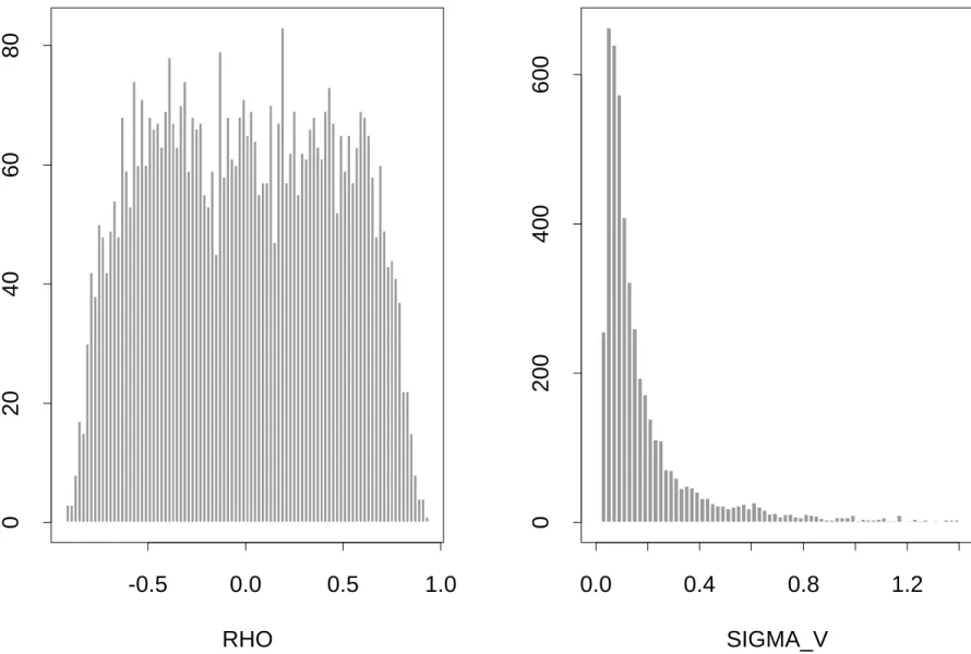 Figure 6. Implied Prior Distribution for RHO and SIGMA_V