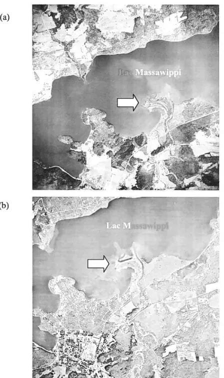 Figure 2.1 : Delta de la Tomifobia en 1945 [échelle 1 :15 000;