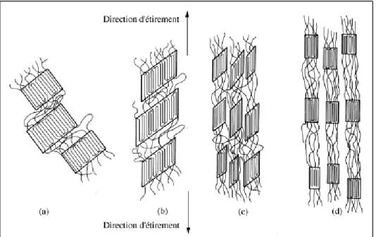 Figure 1.11 : Mécanismes de déformation des polymères semi-cristallins  Tiré de Mercier, Zambelli et Kurz (1999), p.330 