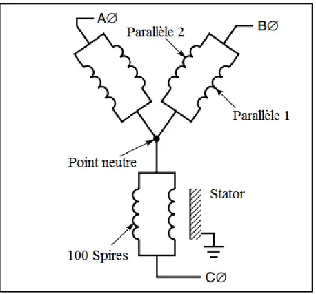 Figure 1.4 Schéma de principe d'un enroulement statorique connecté   en étoile avec deux circuits en parallèle par phase 