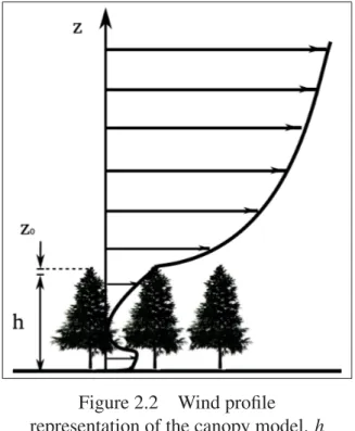 Figure 2.2 Wind proﬁle representation of the canopy model. h