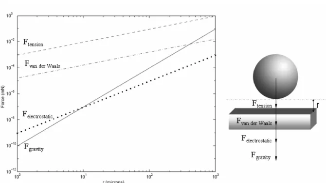 Fig. 1.4. The different forces in the microworld for a sphere/ plane interaction. 