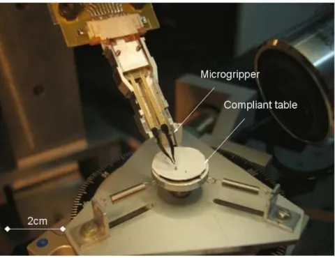 Fig.  1.6  shows  the  large  view  of  the  micromanipulation/microassembly  SAMMI  platform