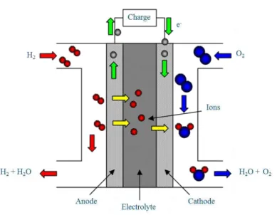 Figure 2 : Fonctionnement d’une PEMFC. 