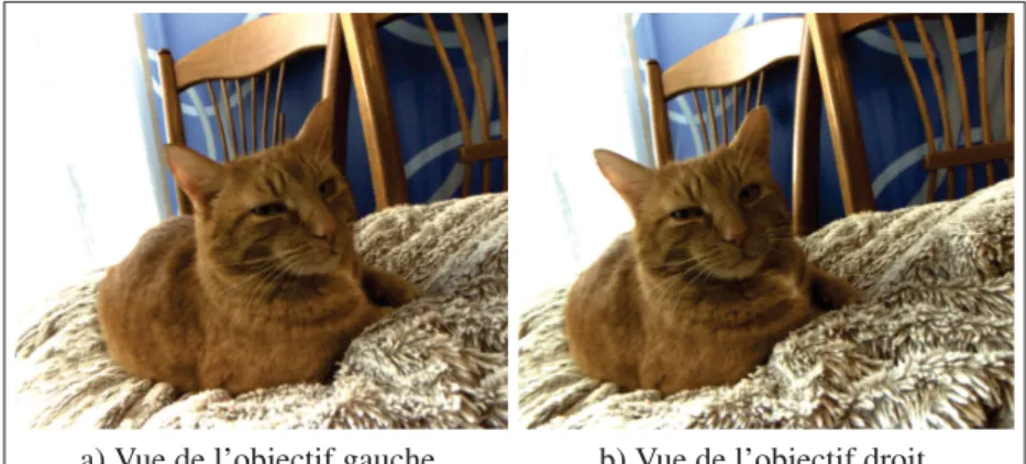 Figure 3.4 Images corrigées de l’Ovrvision Pro : les deux objectifs sont décalés horizontalement d’environ 60 mm pour simuler un écart pupillaire