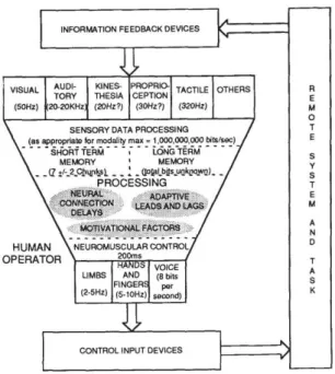 Figure 2.8: Human asymmetric input/output capabilities [Brooks, 1990]