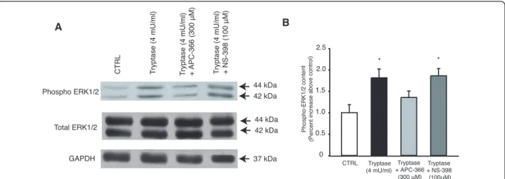 Figure 2 PAR-2 receptor functionality in L6 myoblasts. A) Levels of phospho-ERK1/2 and total ERK1/2 by western blot following stimulation with tryptase, tryptase pre-incubated with its inhibitor APC-366 or with COX-2 inhibitor NS-398