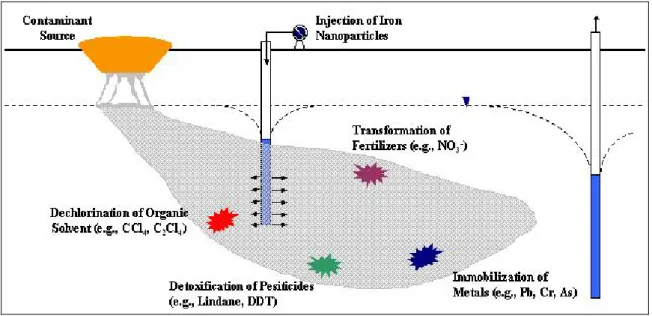 Figure 2-5: Décontamination de sols pollués par les nanopoudres de fer