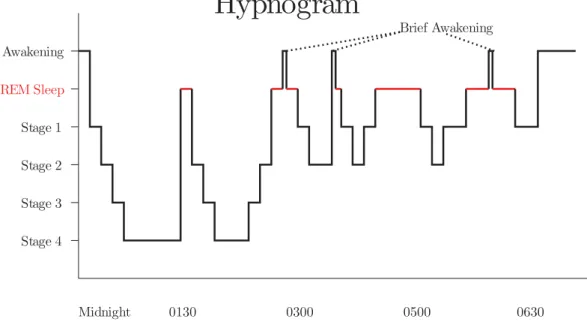 Figure 2.3: A sample hypnogram (defined by electroencephalogram) showing sleep cycles designated by increasing REM sleep.