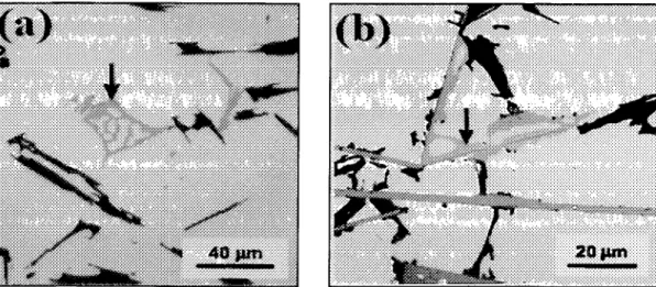 Figure 2.3 Microstructure of alloy Al-5Si-lCu-0.5Mg showing the two possible types of 7r-AlgMg3FeSi6 morphologies; (a) Chinese script-like morphology, and (b)  n-phase connected  w i t 2 2