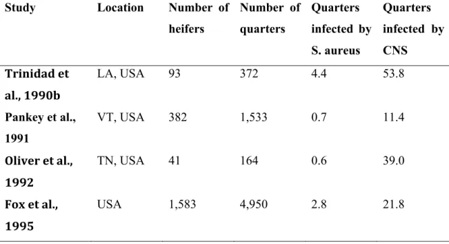 Table II. Prevalence of intramammary infections in dairy heifers caused by  Staphylococcus aureus and coagulase negative staphylococci after calving