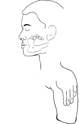 Figure 2.2 Points on the body surface that yielded referred sensations in the phan- phan-tom hand (this patient's left arm had been amputated ten years prior to our testing him)