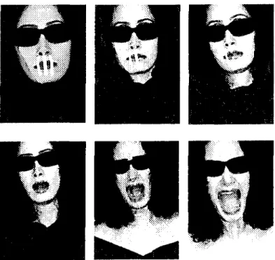 Fig. 7 : Liberté, Naghmeh Ghasemzadeh, 2008
