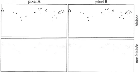 FIG. 4.9 — Échantillons obtenus pour deux pixels adjacents de la scène de la figure 4.9.
