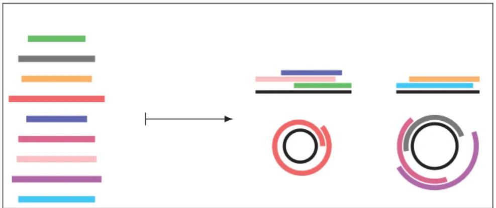 Figure 2.13 – Sch´ema du probl`eme SMCS. Les rectangles de couleur repr´esentent les mots de l’instance et le rectangle noir correspond ` a une couverture mixte de mots de l’instance.