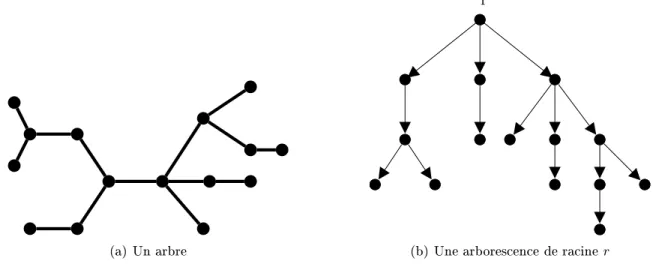 Fig. 1.3  Un arbre, et une arborescence (arbre enraciné)