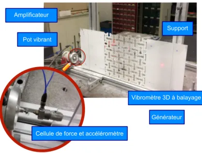 Figure 2.28 – Second dispositif expérimental avec comme éléments principaux le métama- métama-tériau et le vibromètre 3D à balayage pour la mesure, un zoom est effectué sur le système excitateur, un pot vibrant instrumenté avec une cellule de force et un a