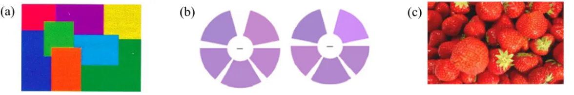 Figure 3. Exemple de stimuli utilisés dans les différentes expériences : (a) Mondrian (McKeefry &amp; Zeki, 1997),  (b) séquences en dégradé ou aléatoire de différentes teintes (Beauchamp et al., 1999) et (c) des objets colorés 