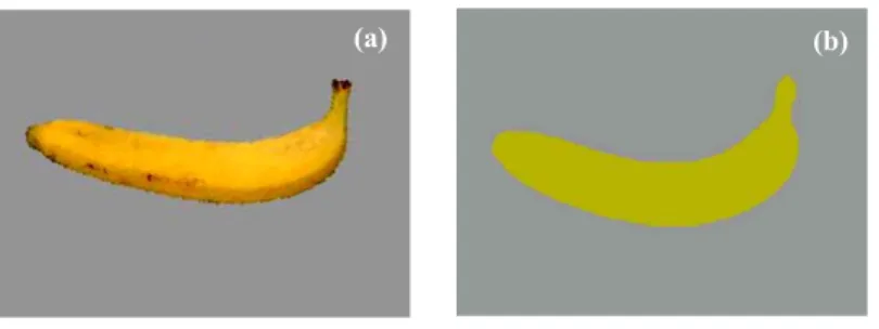 Figure 6. Exemple de stimuli utilisés par Olkkonen et al. (2008) : (a) photographie d'une banane et (b)  photographie d'une banane uniformément colorée et sans texture (adapté d’Olkkonen et al., 2008)