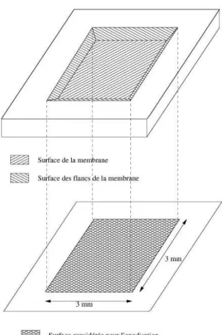 Fig. 3.25: Sch´ema explicatif de la surface de silicium prise en compte pour l’anodisation.