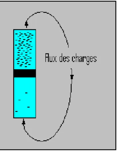 Figure 9 : Les charges électroniques dans une pile chimique se déplacent pour annuler le gradient de concentration.