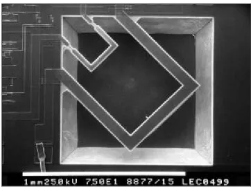Figure 1.29 : La gravure TMAH parfaitement réussie du circuit IC6 