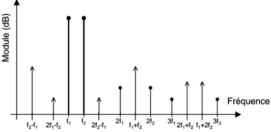 Figure 2.12 : Harmoniques et raies d’intermodulation d’un signal bifréquentiel (dual tone)  Le taux de distorsion par intermodulation (IMD pour InterModulation Distortion ratio)  est défini par le rapport entre la somme des valeurs efficaces de toutes les 