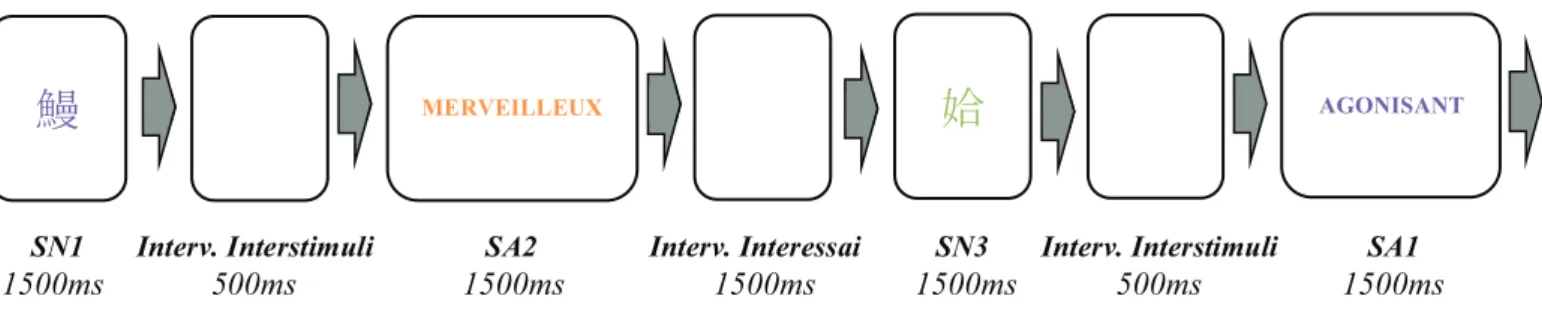 Figure 6. Exemple d’une séquence impliquant la présentation d’un couple SN-SA non contigu et les  paramètres spatiaux-temporels associés.