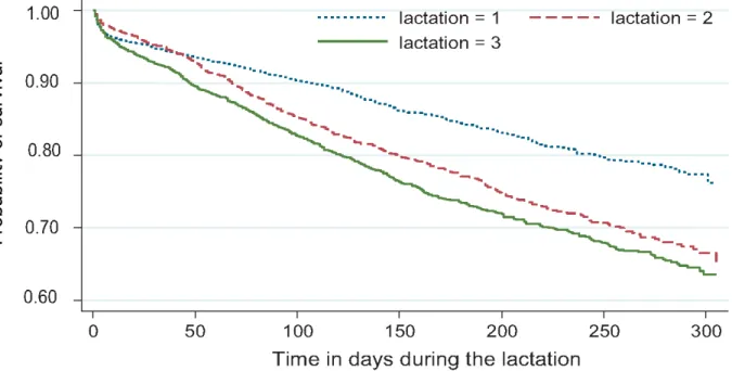 Figure 3.  Kaplan-Meier survival curves for CM in 1 st , 2 nd , and 3 rd  lactation ;  reproduced from Elghafghuf (2014) 