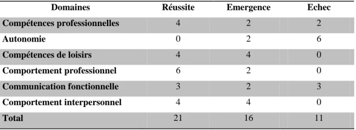 TABLEAU 3 : résultats obtenus par Monsieur A à l'échelle d'observation directe de l'AAPEP 