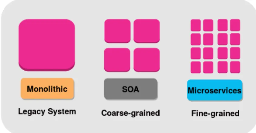 Figure 2.2: SOA and MSA granularity
