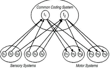 Figure  1  :  la  théorie  du  codage  des  événements  (Hommel  et  al.,  2001)  repose  sur  un  système  de  codage  d’événement  qui  s’effectue  lors  d’un  couplage de la perception et de l’action