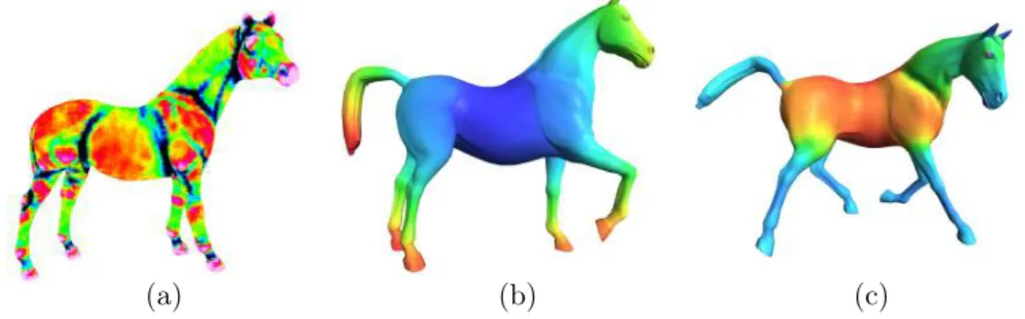 Figure 3.9: Example of mesh attributes used for segmentation. (a): Minimum curvature, (b): Average geodesic distance and (c) Shape diameter function.