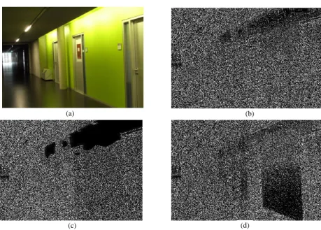 Figure 2.6: Denoising filter applied on a color image (a) the image , (b) denoised image of the red channel, (c) denoised image of the green channel, (d)