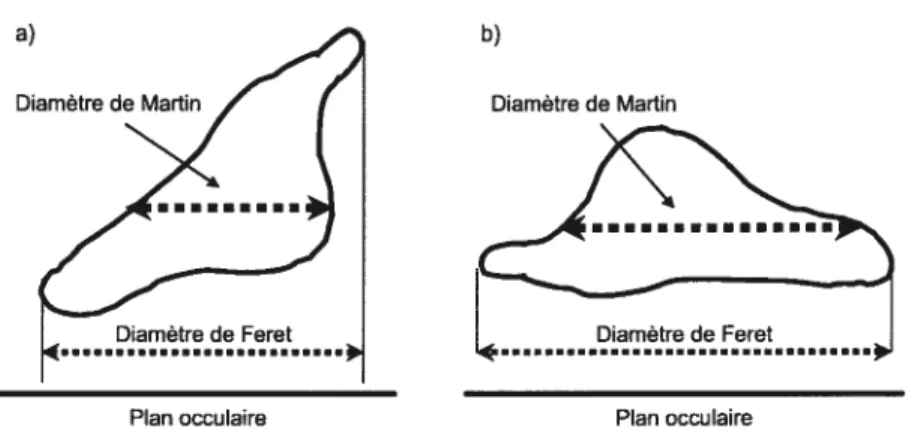 Tableau III. Exemples de propriétés inesttrées pour estimer ta taille (d’après [127]).