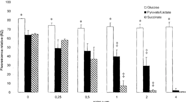 Figure 5. Effet du KCN sur l'activité métabolique de fibroblastes sains (WSI) cultivés avec différents substrats