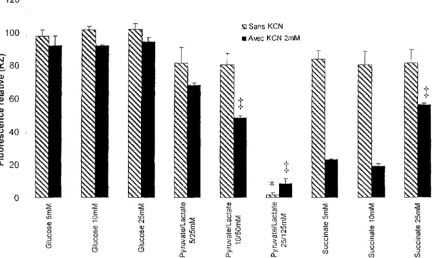Figure 6. Effet de la concentration du substrat sur l'activité métabolique de fibroblastes sains (WSl) soumis ou non à un traitement de KCN (2 mM)