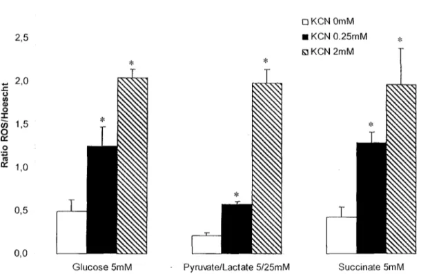 Figure 8. Effet du KCN sur la production de ROS de fibroblastes sains (WSI) en présence de différentes sources d'énergie