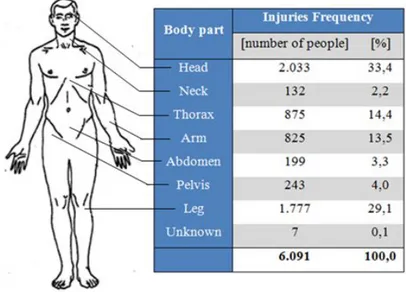Figure 1.10: Injuries frequency for each dummy part
