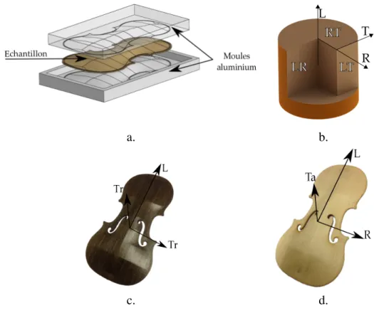 Fig. 2. a. Schéma de fabrication pour les deux échantillons, b. repère dans le tronc du bois utilisé,c