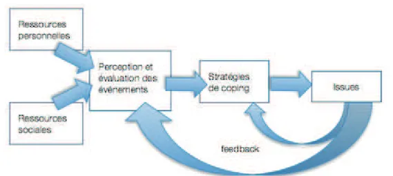 Figure 7 Représentation des processus d'ajustement
