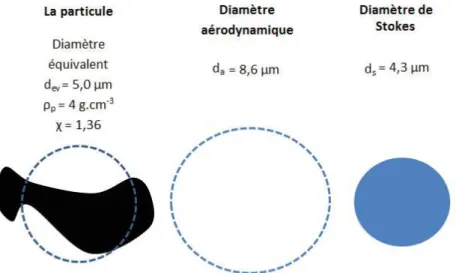 Figure 5 : Exemple de calcul des diamètres équivalents d'une particule  quelconque 