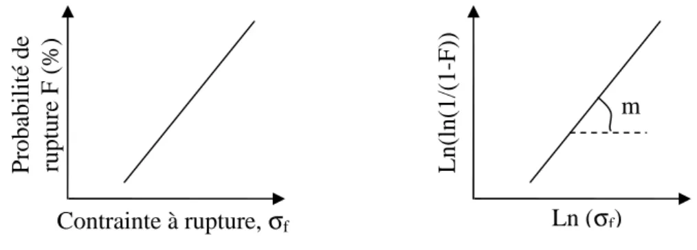 Fig. 1. Représentation du diagramme de Weibull 