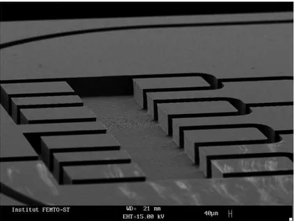 Figure 2.8 – Photo MEB des microcanaux dont la surface est rugueuse.