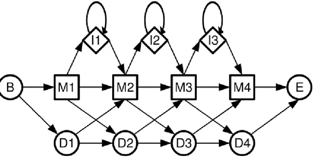 Figure 2.1 – Structure des HMM profils : l’état Begin (B), d’où commence tout(e) chemin (séquence)