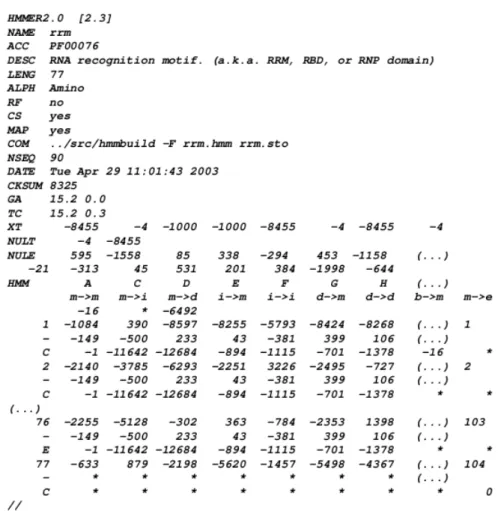 Figure 2.2 – Extrait d’un fichier au format HMMER, contenant le modèle du domaine Pfam rrm (PF00076).